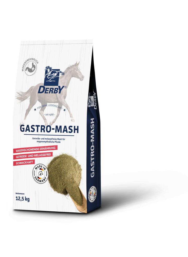 DERBY Gastro-Mash